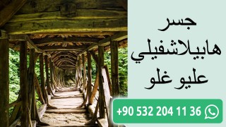 جسر هابيلاشفيلي عليوغلو